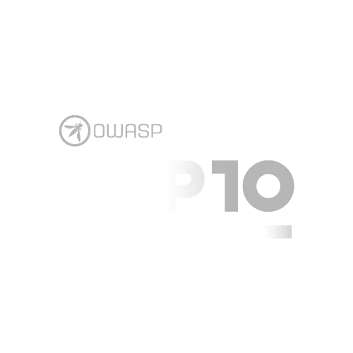 OWASP Top 10 logo